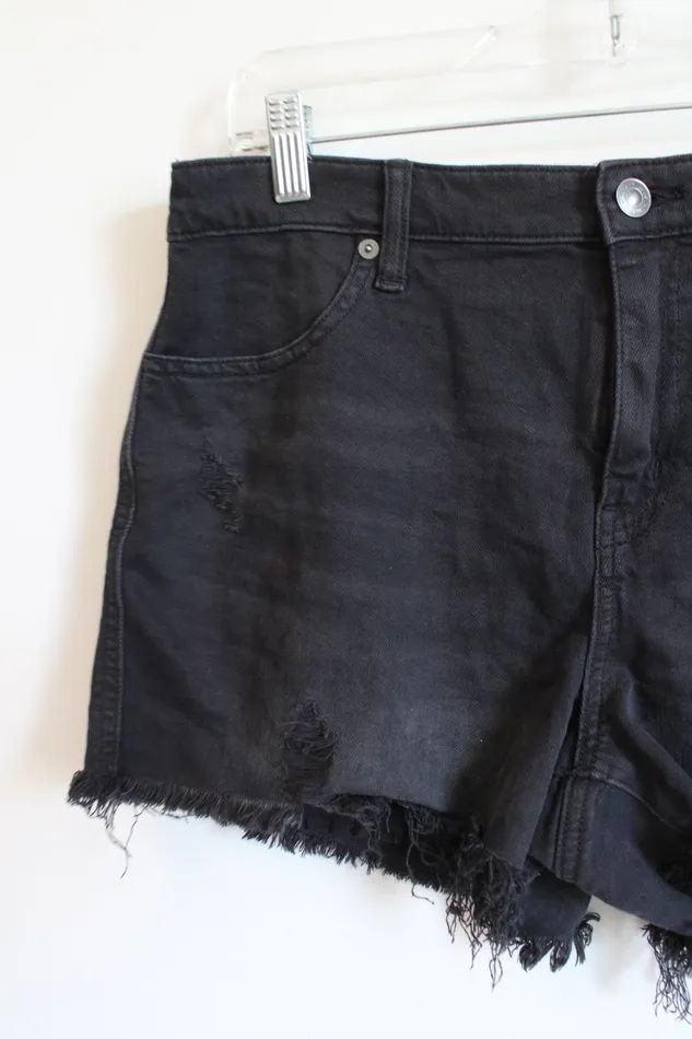 Aerie Rings Aerie Black Distressed Denim Shorts M
