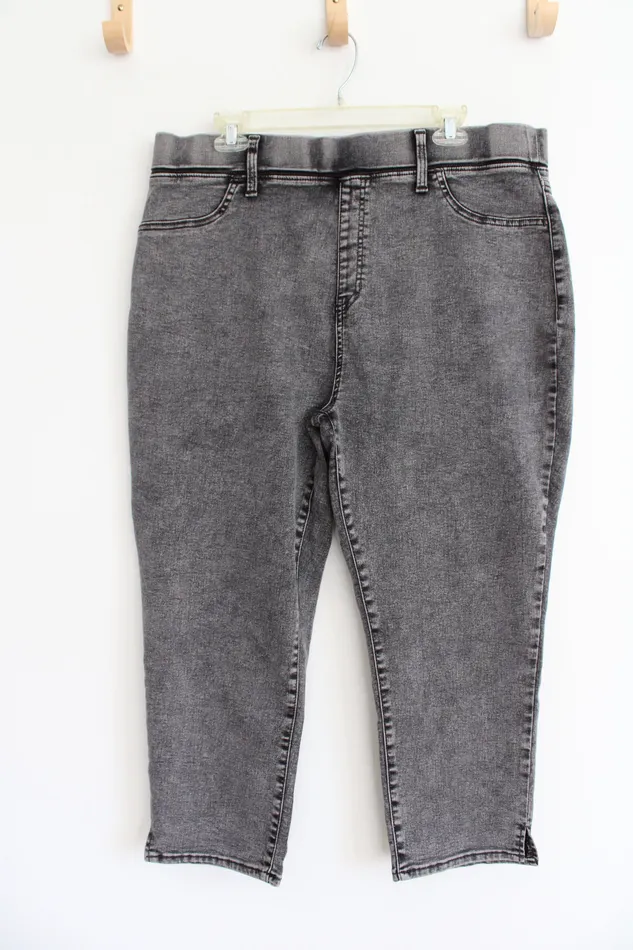 Earrings Terra Sky Dark Gray Wash Capri Pants 1X 1618 Terra Sky