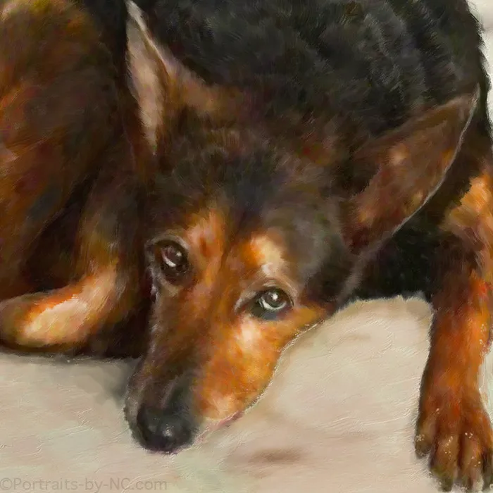German Shepherd Rottweiler Mix Dog Oil Portrait Portraits by NC Earrings