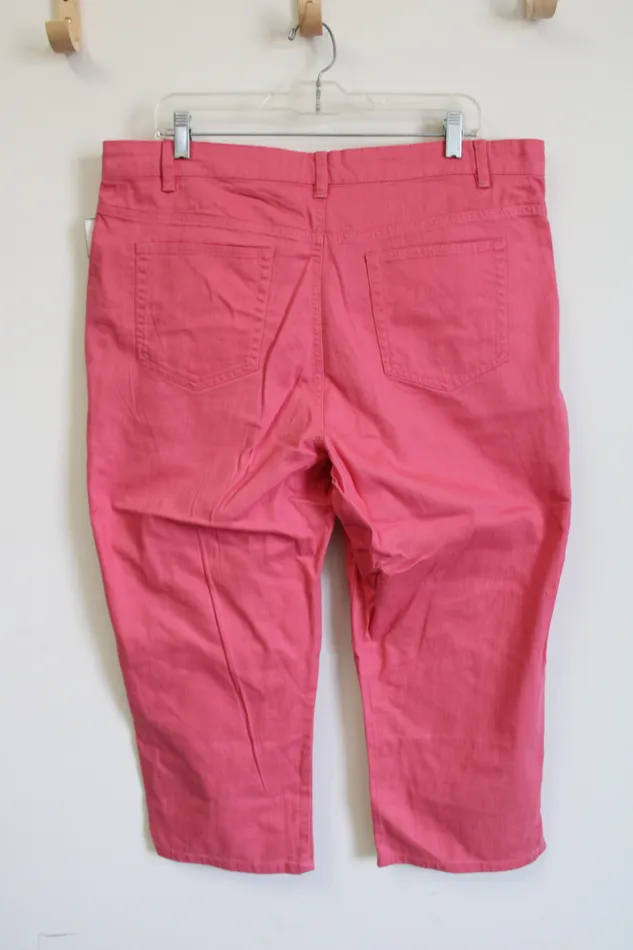 Jaclyn Smith Earrings Jaclyn Smith Pink Denim Capri 18