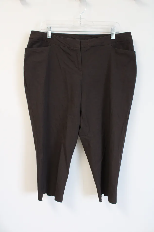 Lane Bryant Brown Stretch Capri Pants 16 Lane Bryant Earrings
