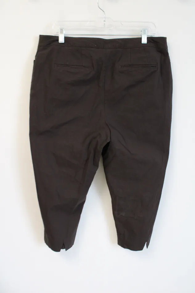 Lane Bryant Brown Stretch Capri Pants 16 Lane Bryant Earrings