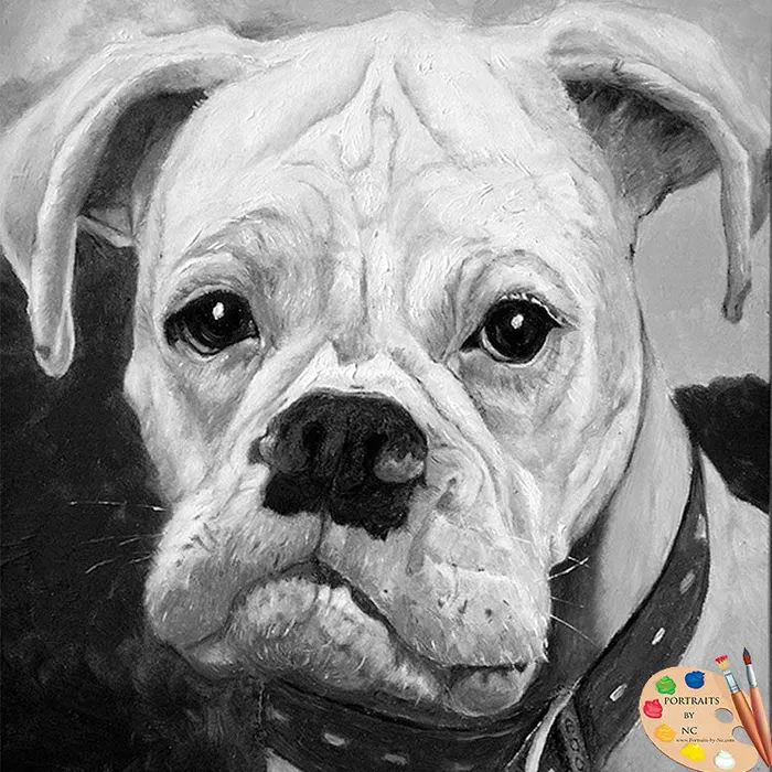 Portraits by NC Earrings White Boxer Pet Portrait in Oil