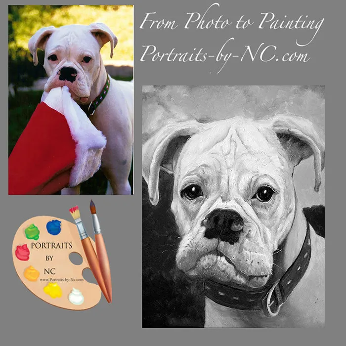 Portraits by NC Earrings White Boxer Pet Portrait in Oil