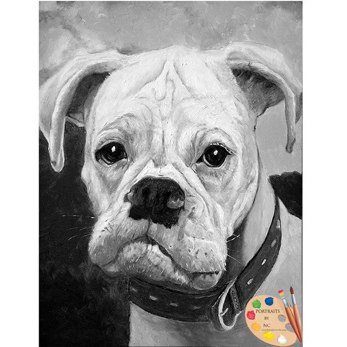 Portraits by NC Earrings White Boxer Pet Portrait in Oil