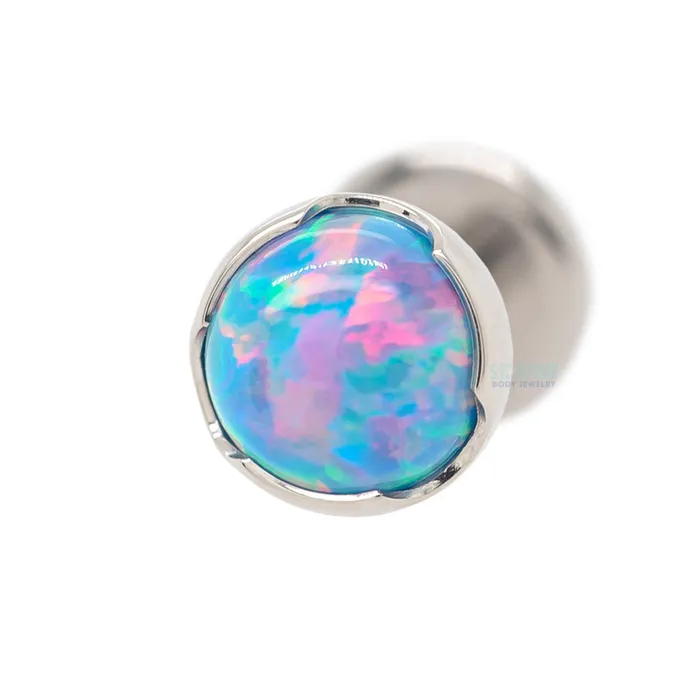 Anatometal 4mm ProngSet Opal Cabochon on Flatback Earrings