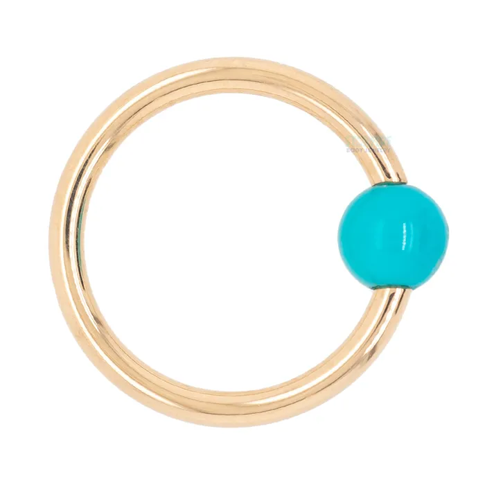 Captive Bead Ring CBR in Gold with Turquoise Captive Bead Body Vision BVLA Rings Captive Bead Ring CBR in Gold with Turquoise Captive Bead Body Vision BVLA Rings
