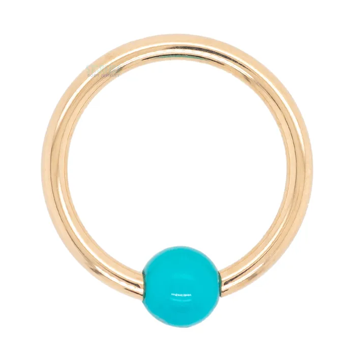 Captive Bead Ring CBR in Gold with Turquoise Captive Bead Body Vision BVLA Rings