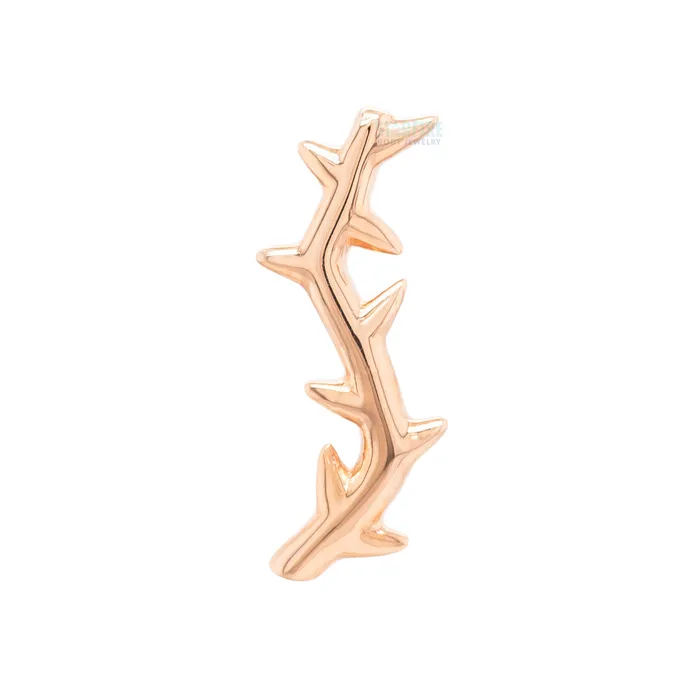 Earrings Junipurr Jewelry threadless Thorn End in Gold