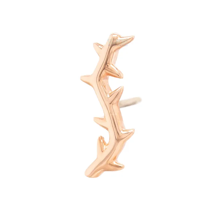 Earrings Junipurr Jewelry threadless Thorn End in Gold