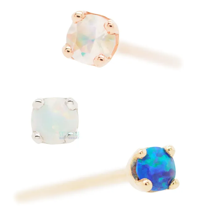 Four Prong Nostril Screw in Gold with Faceted Black Opal Body Vision BVLA Earrings