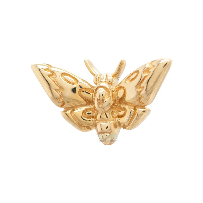 Junipurr Jewelry Earrings threadless DeathsHead Moth End in Gold