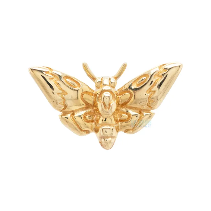 Junipurr Jewelry Earrings threadless DeathsHead Moth End in Gold