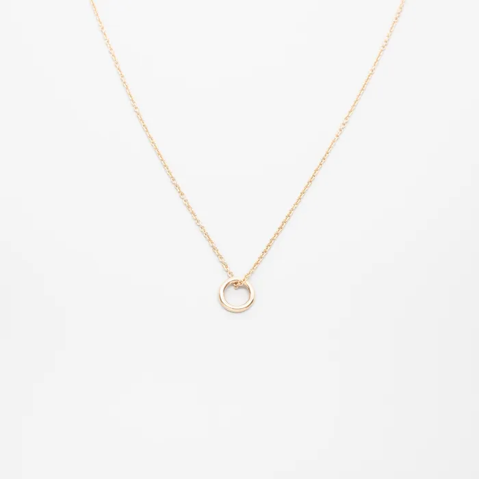 Necklaces fejn PWD small circle necklace solid gold