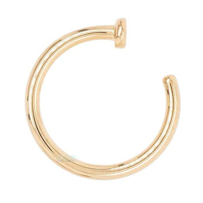 Nostril Nail Ring in Gold Body Vision BVLA Rings