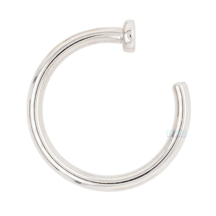 Nostril Nail Ring in Gold Body Vision BVLA Rings