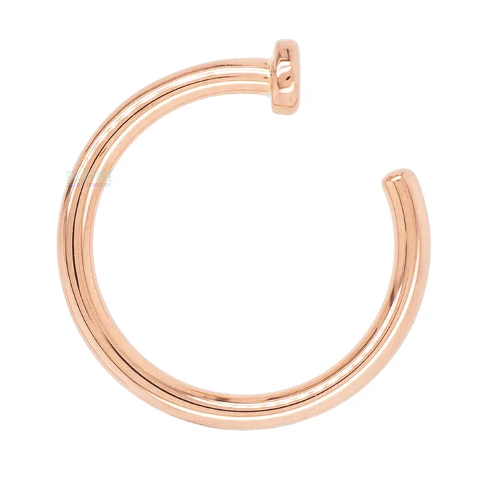 Nostril Nail Ring in Gold Body Vision BVLA Rings