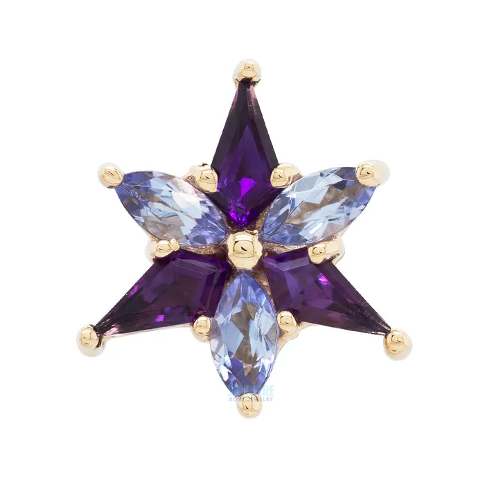 Stargazer Threaded End in Gold with Amethyst Tanzanite Body Vision BVLA Necklaces Stargazer Threaded End in Gold with Amethyst Tanzanite Body Vision BVLA Necklaces