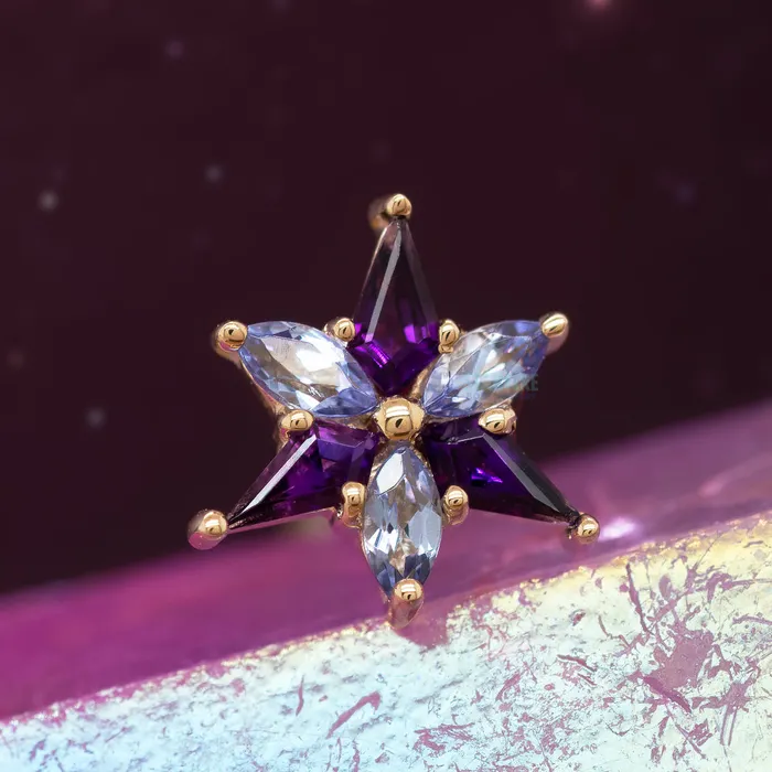 Stargazer Threaded End in Gold with Amethyst Tanzanite Body Vision BVLA Necklaces