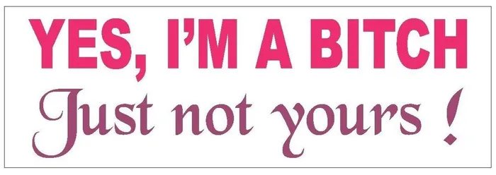 Earrings Winter Park Products STD623 Yes Im A Bitch Just Not Yours Funny Bumper Sticker