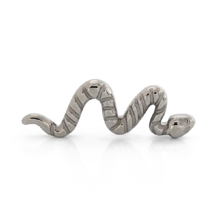 IRIS Snake Titanium IRIS Studios Earrings