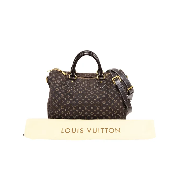 Louis Vuitton PreOwned Louis Vuitton Monogram Mini Lin Speedy Bandouliere 30 Earrings Louis Vuitton PreOwned Louis Vuitton Monogram Mini Lin Speedy Bandouliere 30 Earrings