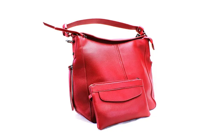 Walkeaze Earrings Women Stylish Bag 14253B