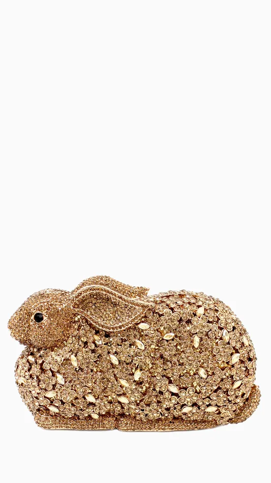 Walkeaze Women Clutch 15022B Earrings
