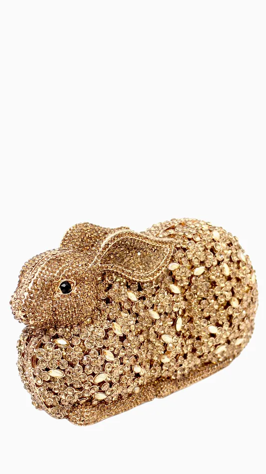 Walkeaze Women Clutch 15022B Earrings