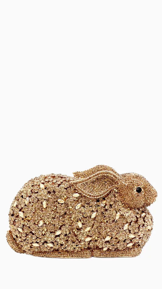 Walkeaze Women Clutch 15022B Earrings