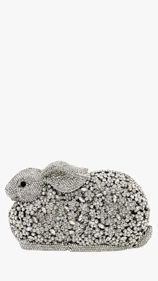 Walkeaze Women Clutch 15022B Earrings