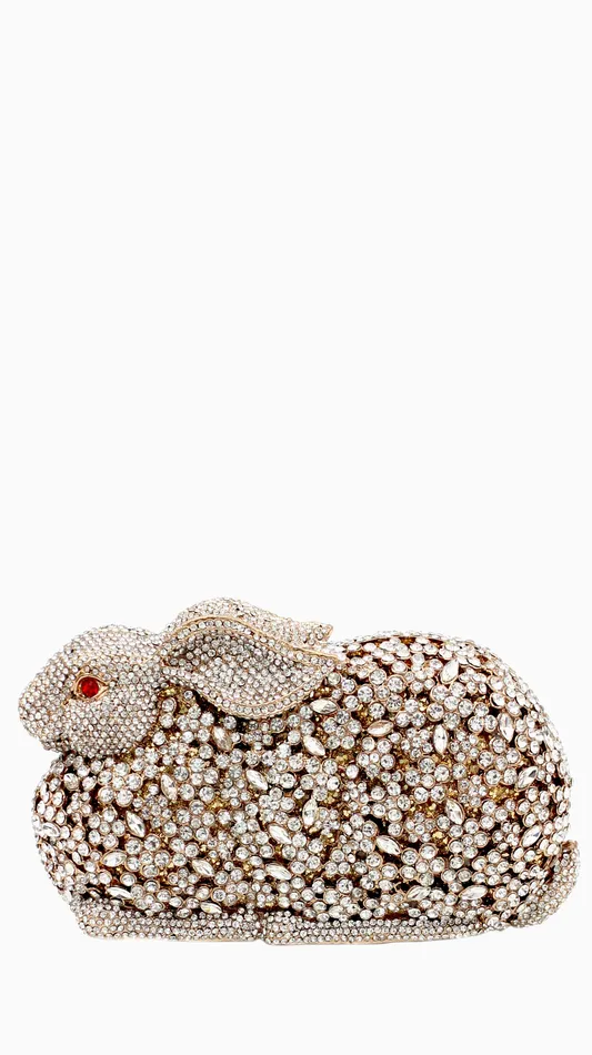 Walkeaze Women Clutch 15022B Earrings